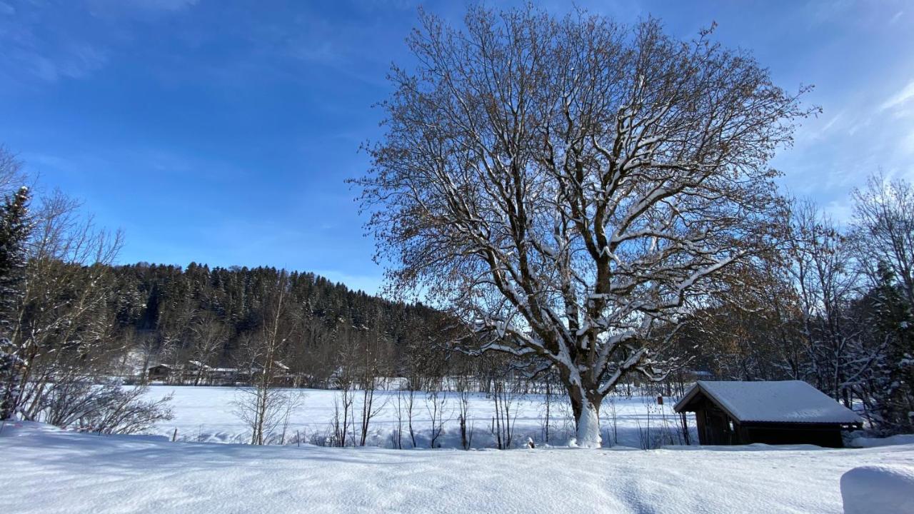 Pure Nature Munich - Alps 菲施巴豪 外观 照片