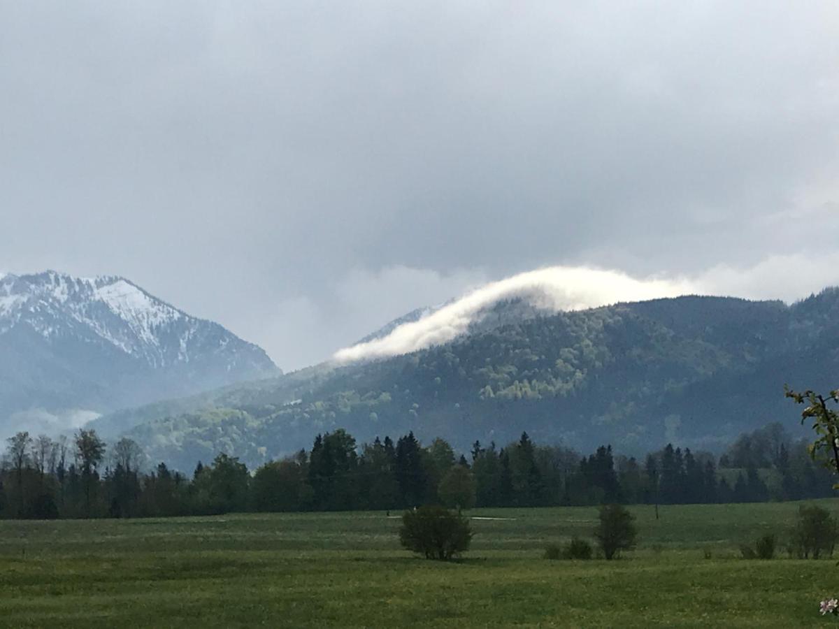 Pure Nature Munich - Alps 菲施巴豪 外观 照片